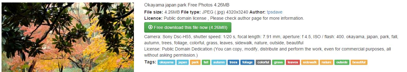 instruções busca de imagens 3