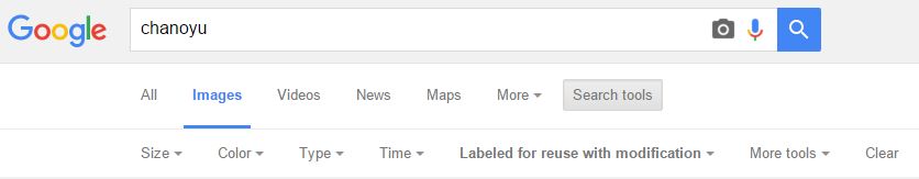 instruções busca de imagens