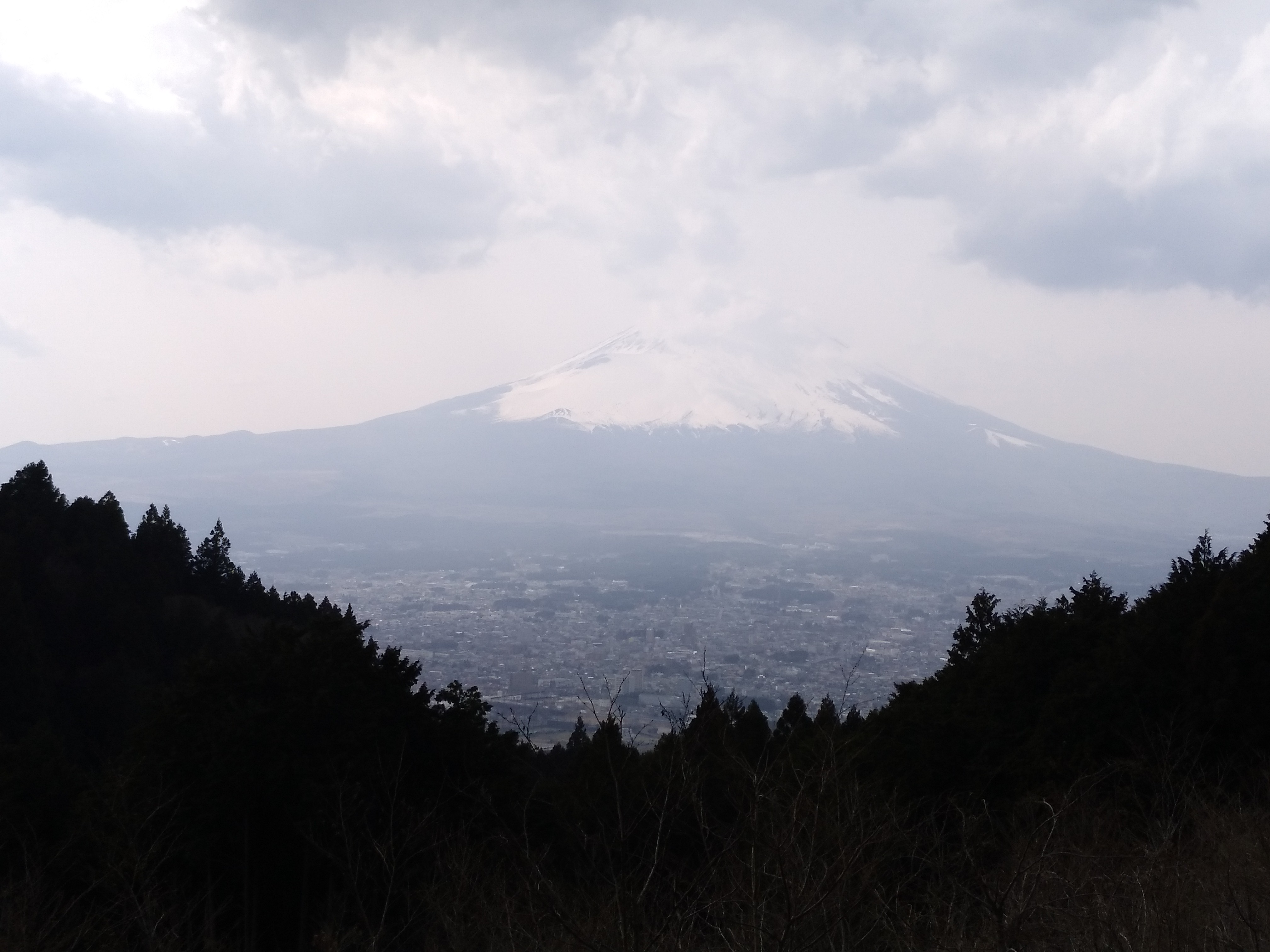 IMG_20190328_142435_196